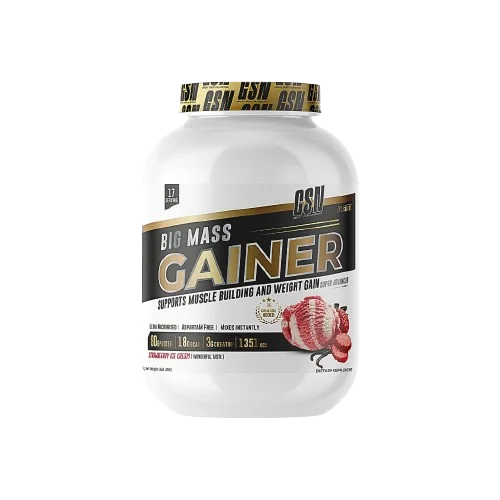 GSN BIG MASS GAINER 3KG